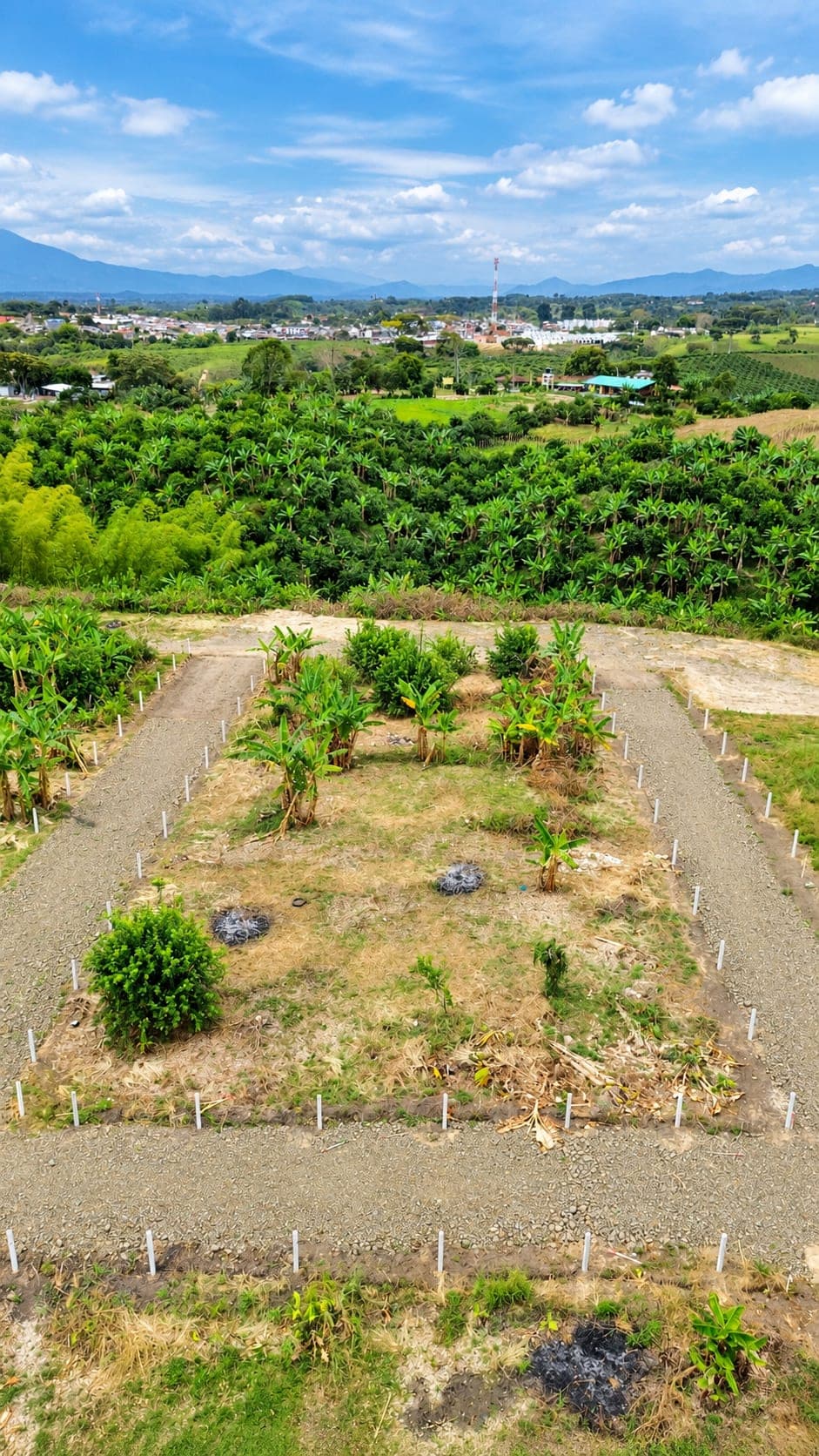 🌿 SAN MARINO | LOTES CAMPESTRES EN QUIMBAYA, QUINDÍO