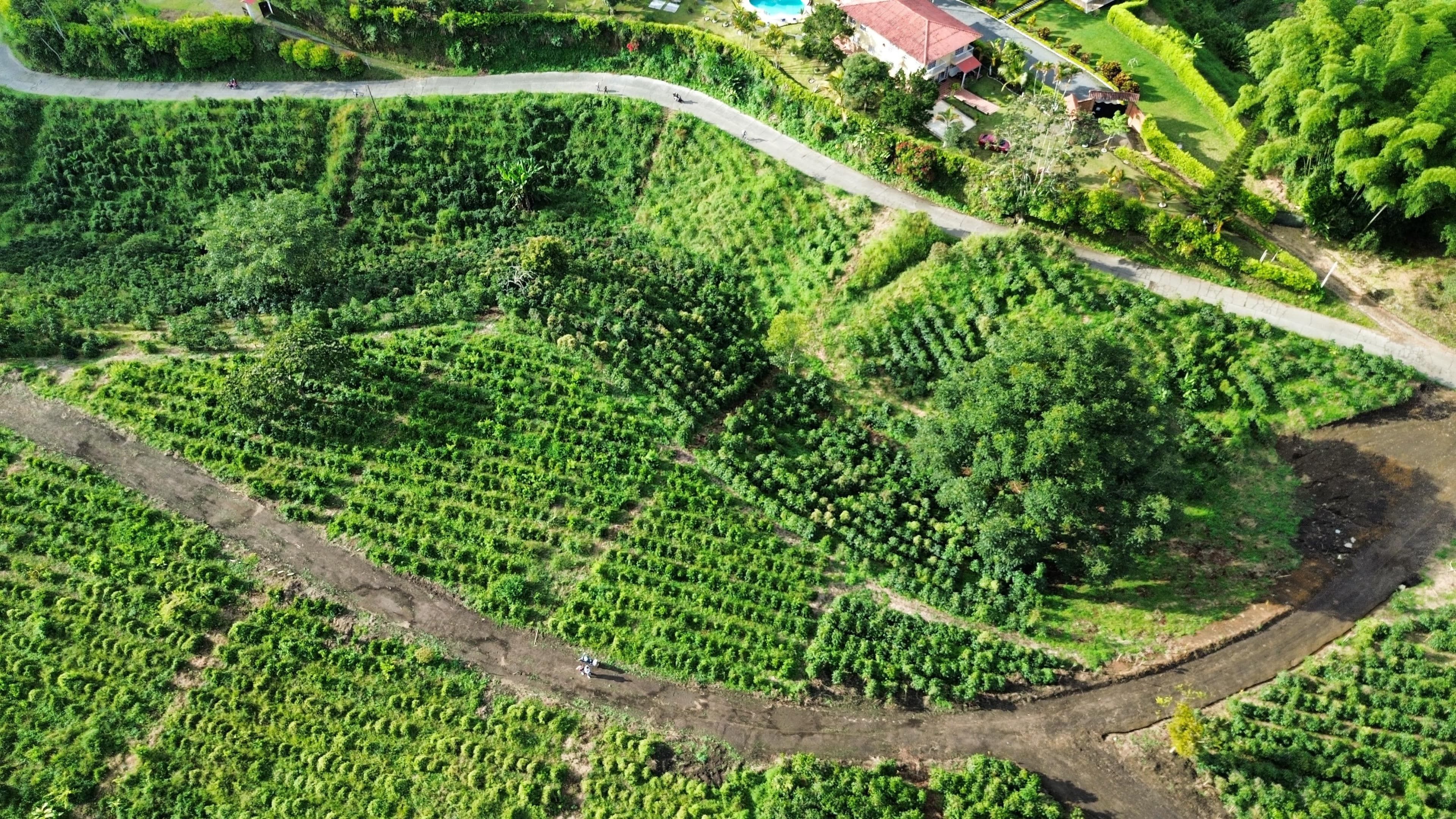 EL TOPACIO | PROYECTO CAMPESTRE EN QUIMBAYA QUINDIO