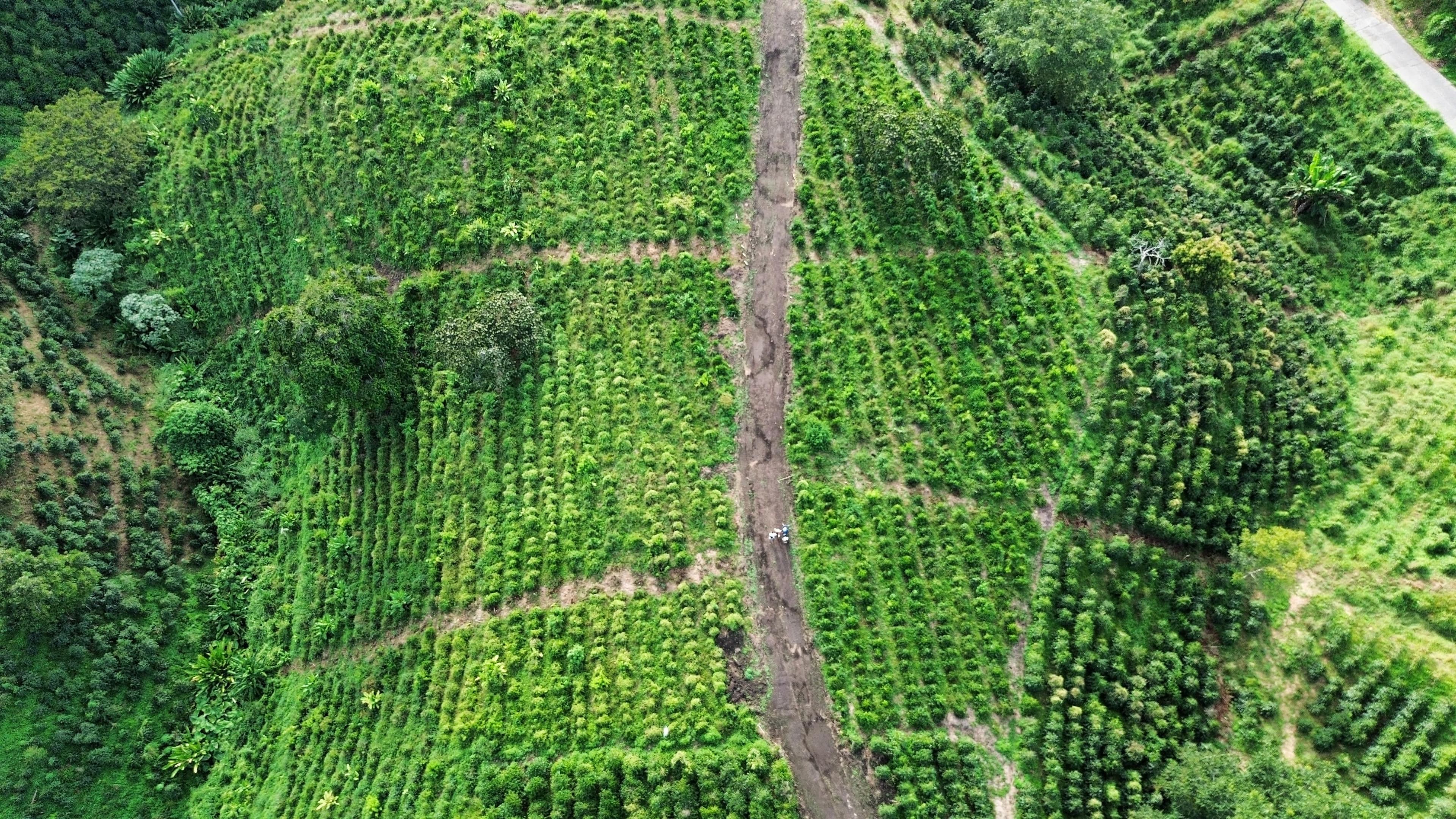 EL TOPACIO | PROYECTO CAMPESTRE EN QUIMBAYA QUINDIO