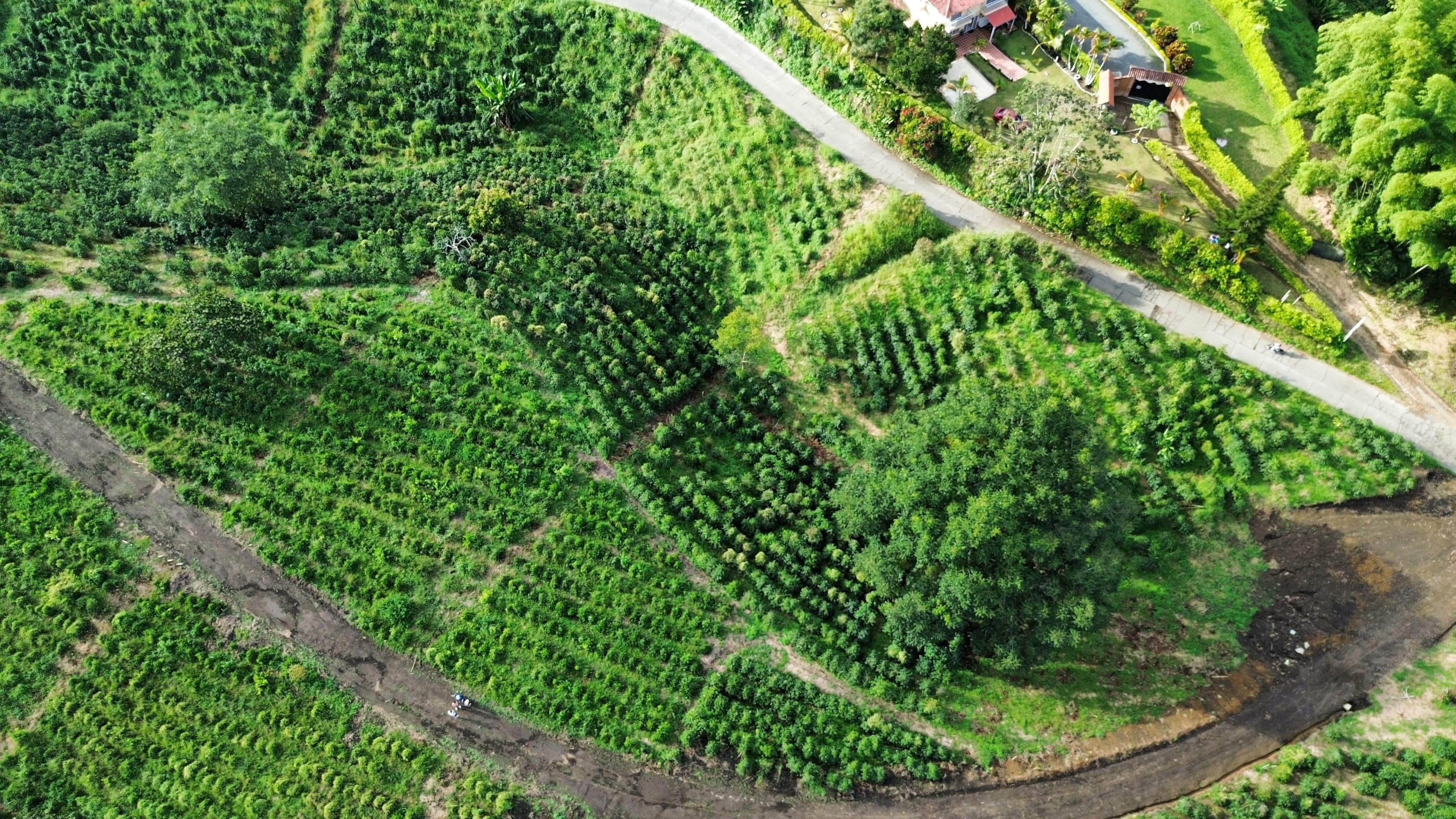 EL TOPACIO | PROYECTO CAMPESTRE EN QUIMBAYA QUINDIO