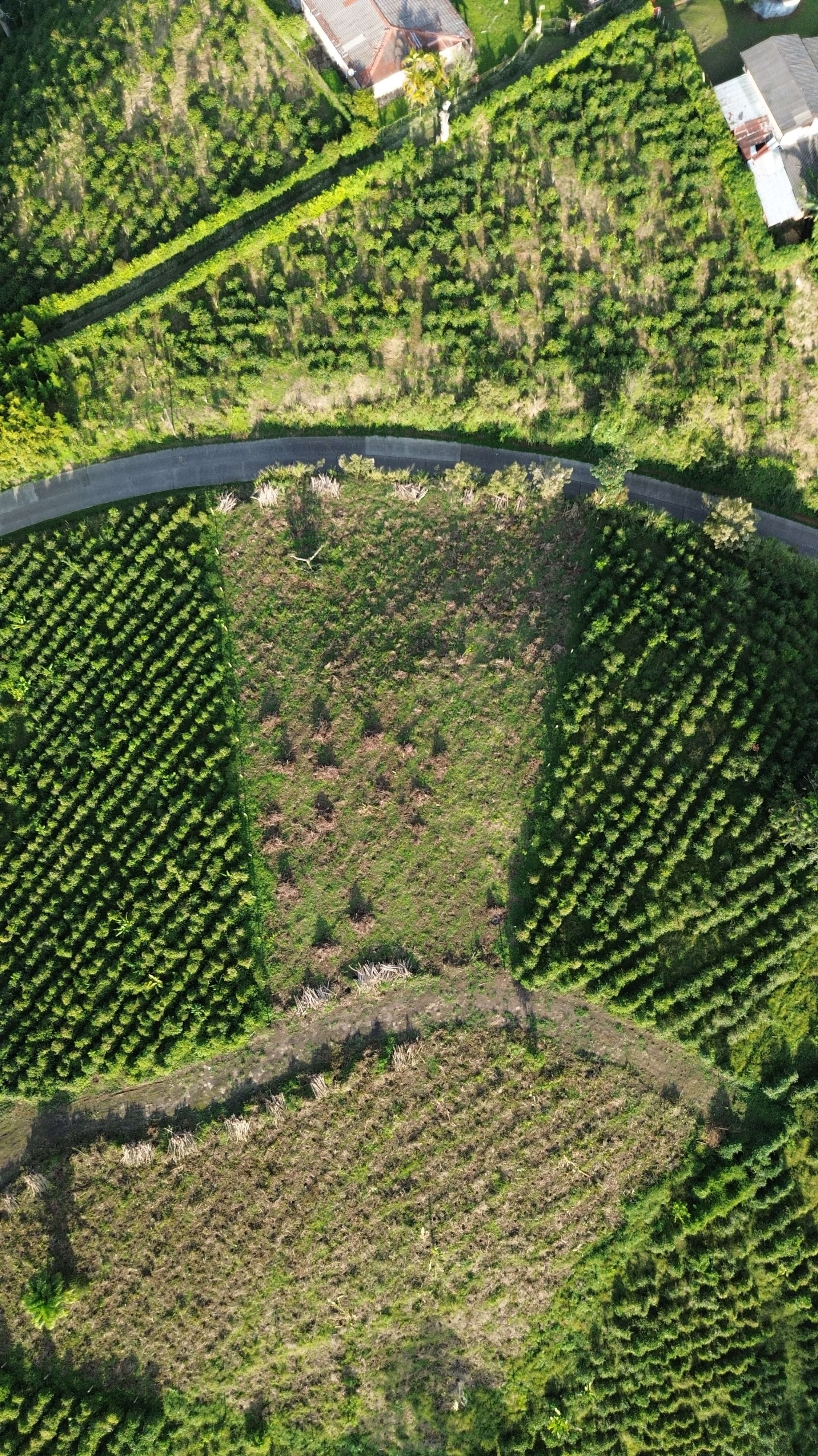 EL TOPACIO | PROYECTO CAMPESTRE EN QUIMBAYA QUINDIO