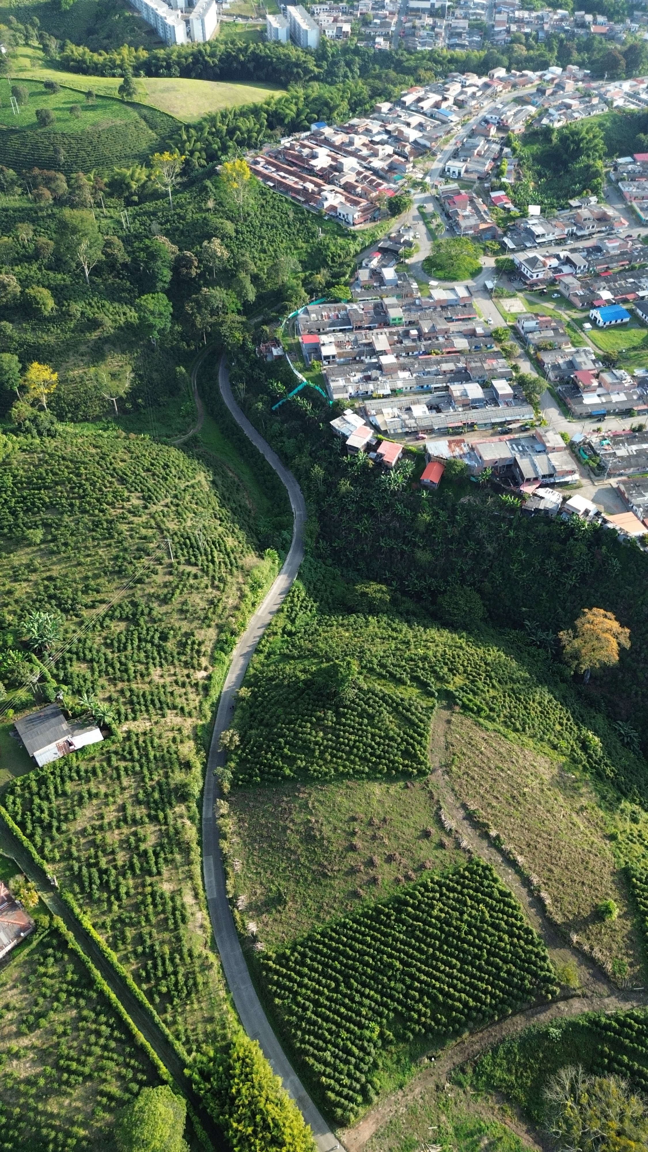 EL TOPACIO | PROYECTO CAMPESTRE EN QUIMBAYA QUINDIO