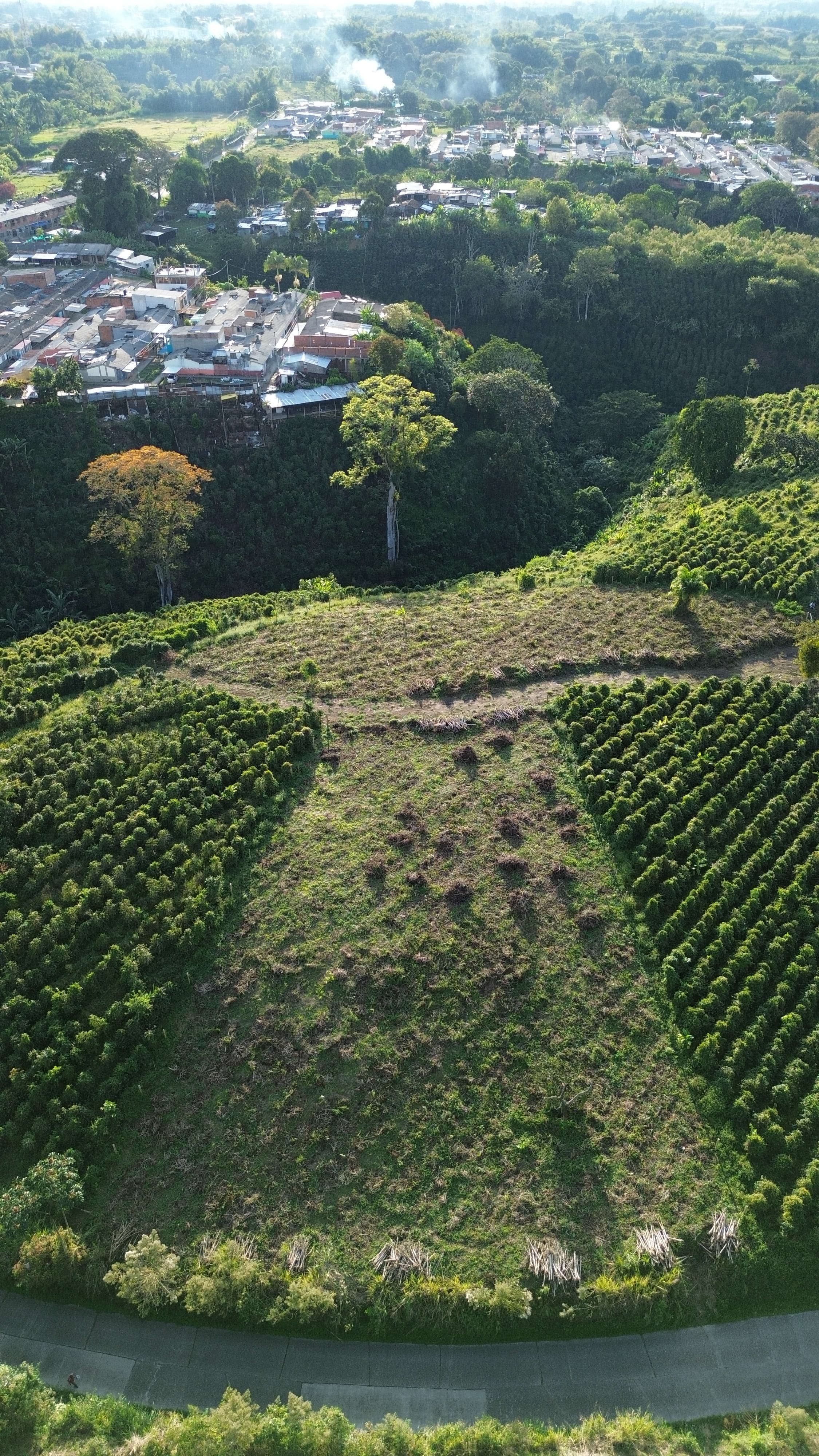 EL TOPACIO | PROYECTO CAMPESTRE EN QUIMBAYA QUINDIO