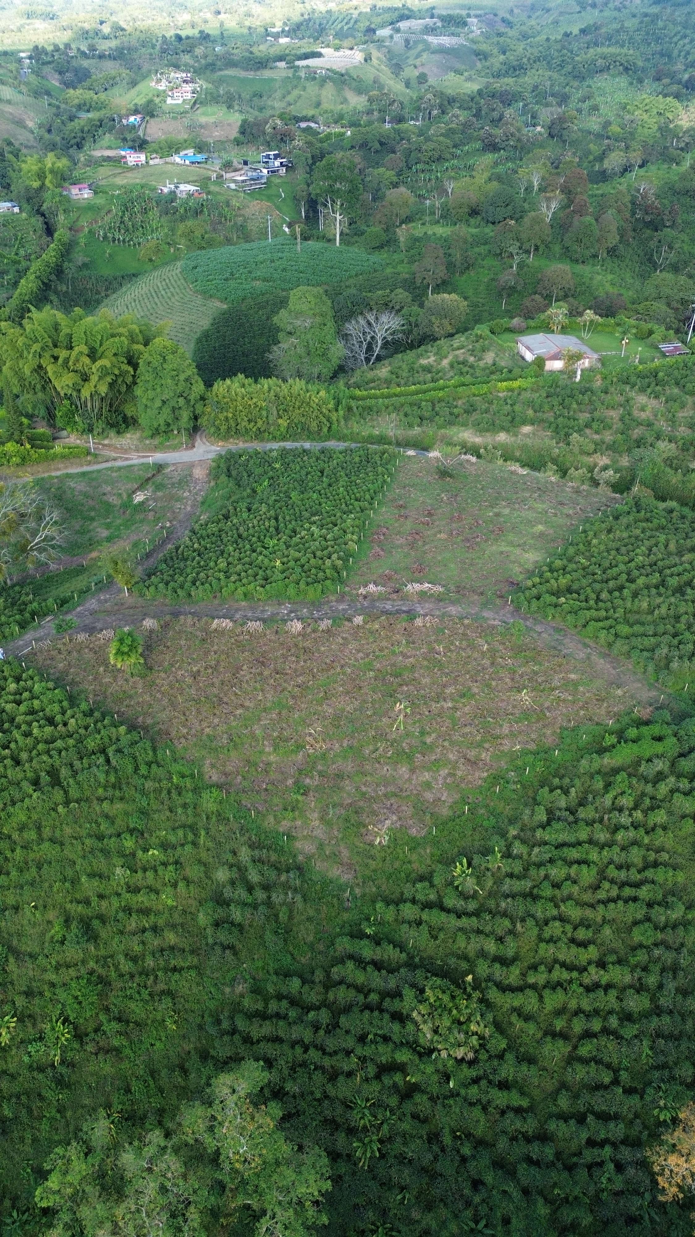 EL TOPACIO | PROYECTO CAMPESTRE EN QUIMBAYA QUINDIO