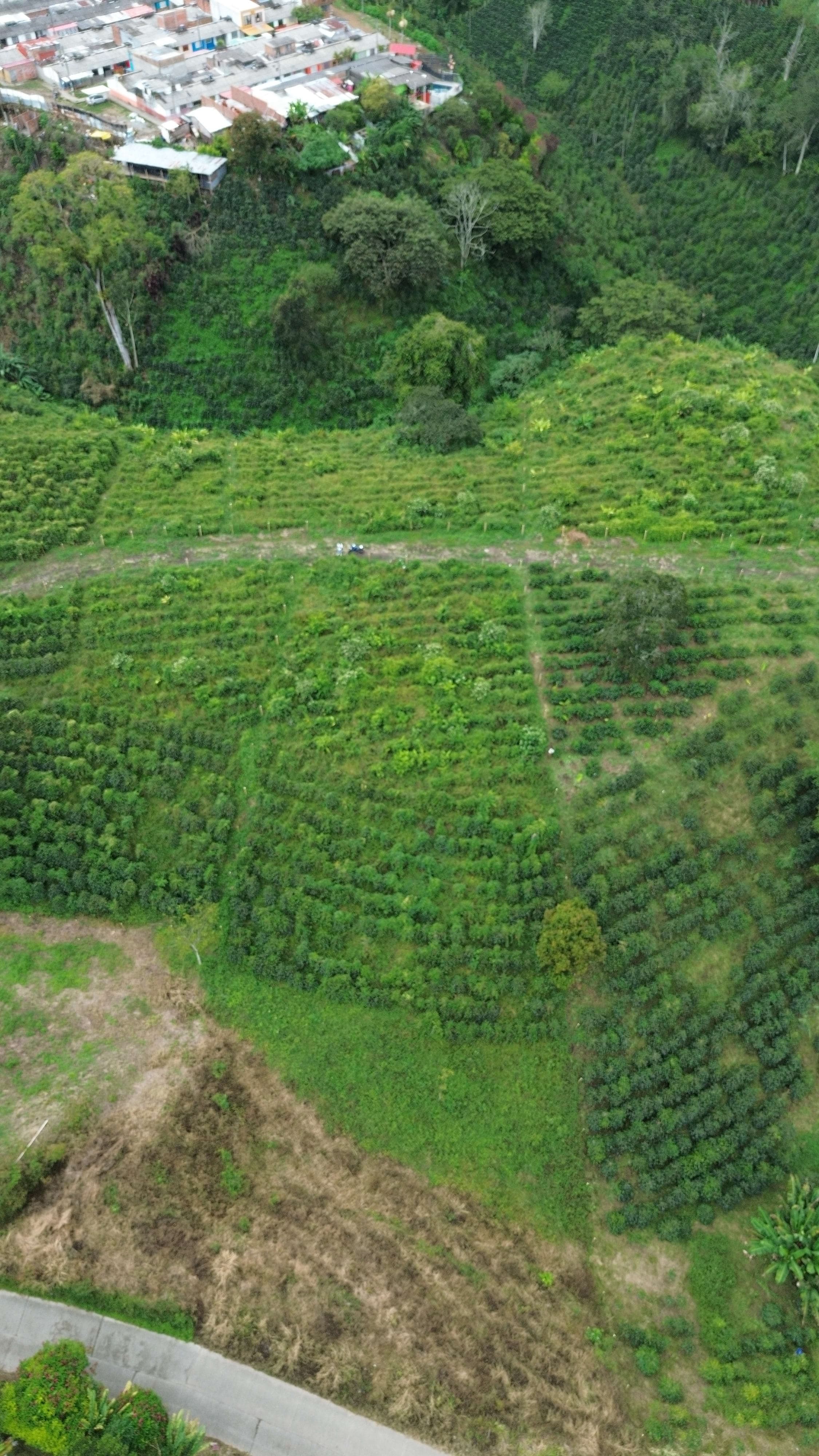 EL TOPACIO | PROYECTO CAMPESTRE EN QUIMBAYA QUINDIO