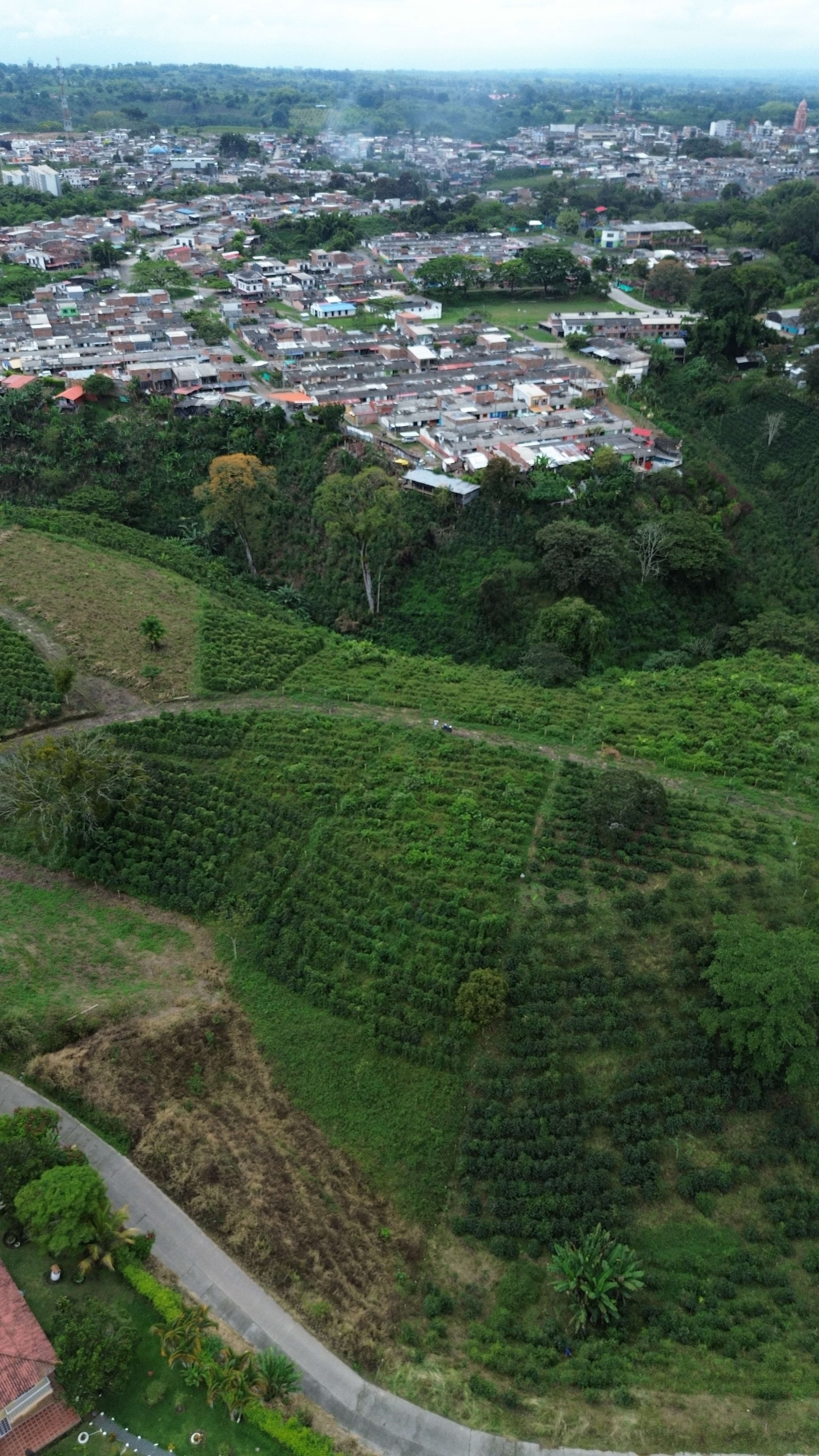 EL TOPACIO | PROYECTO CAMPESTRE EN QUIMBAYA QUINDIO