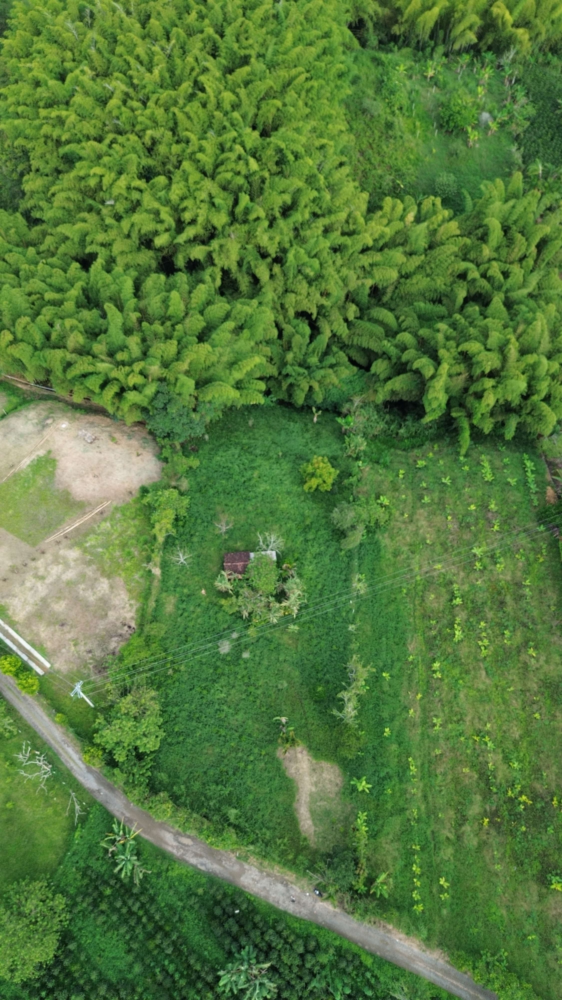 7.000 m² LOTE CAMPESTRE