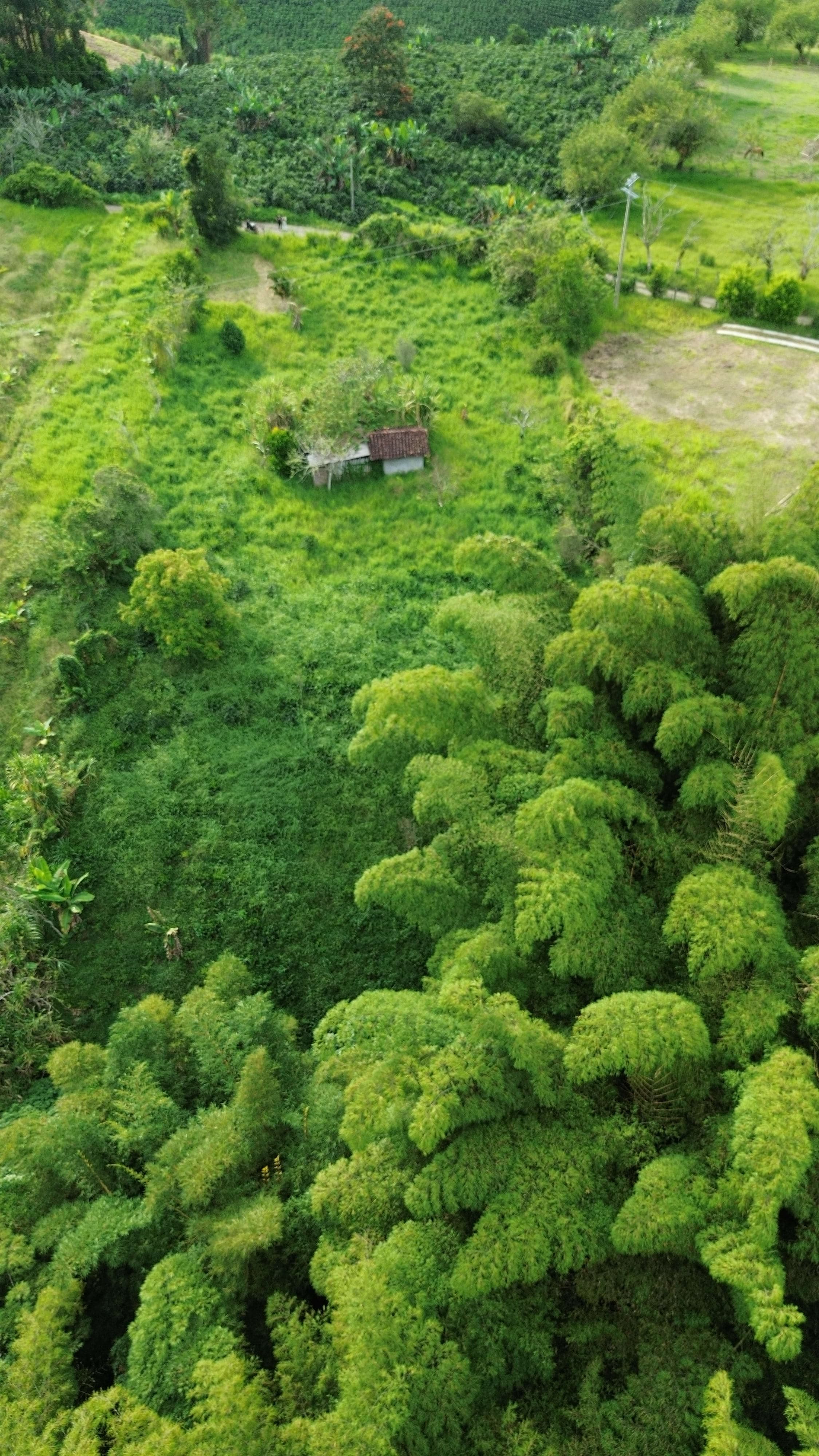7.000 m² LOTE CAMPESTRE
