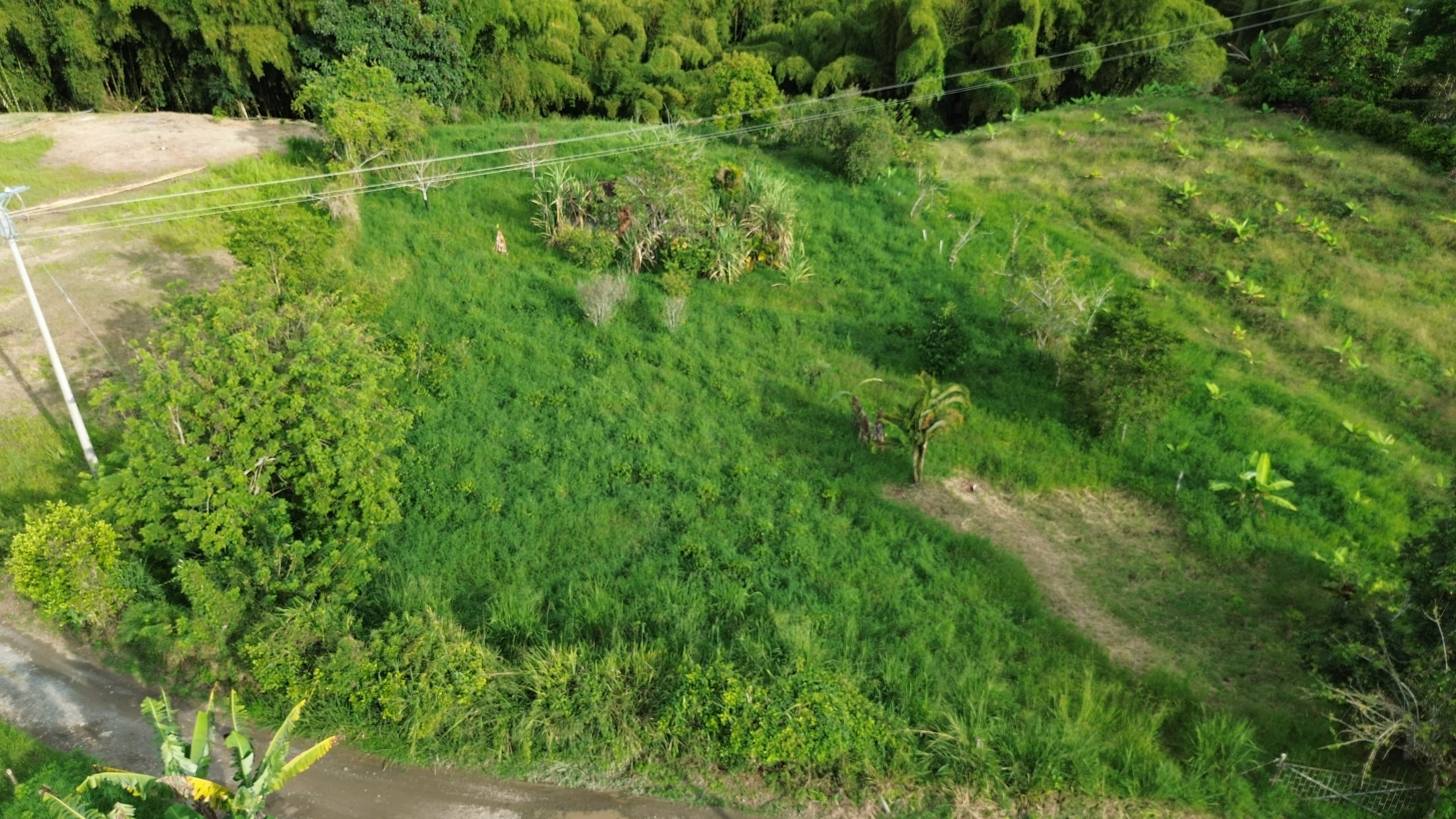 7.000 m² LOTE CAMPESTRE