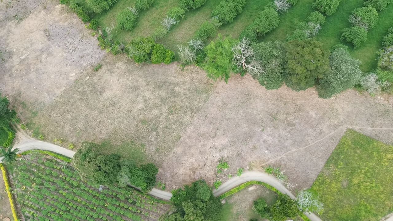 PASA TIEMPO - PROYECTO DE LOTES CAMPESTRES – QUIMBAYA, QUINDÍO