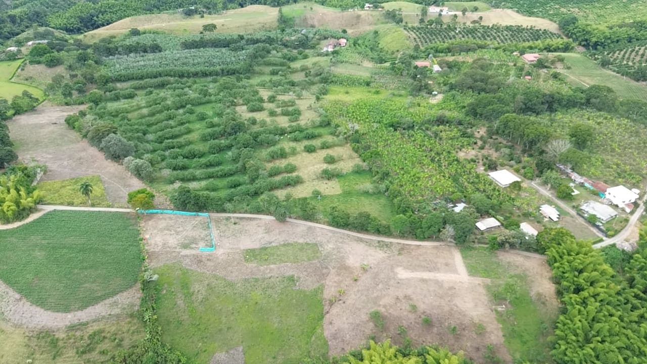 PASA TIEMPO - PROYECTO DE LOTES CAMPESTRES – QUIMBAYA, QUINDÍO