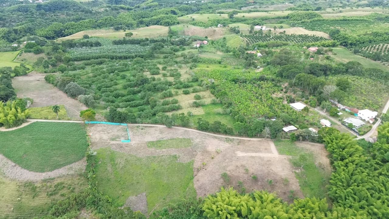 PASA TIEMPO - PROYECTO DE LOTES CAMPESTRES – QUIMBAYA, QUINDÍO