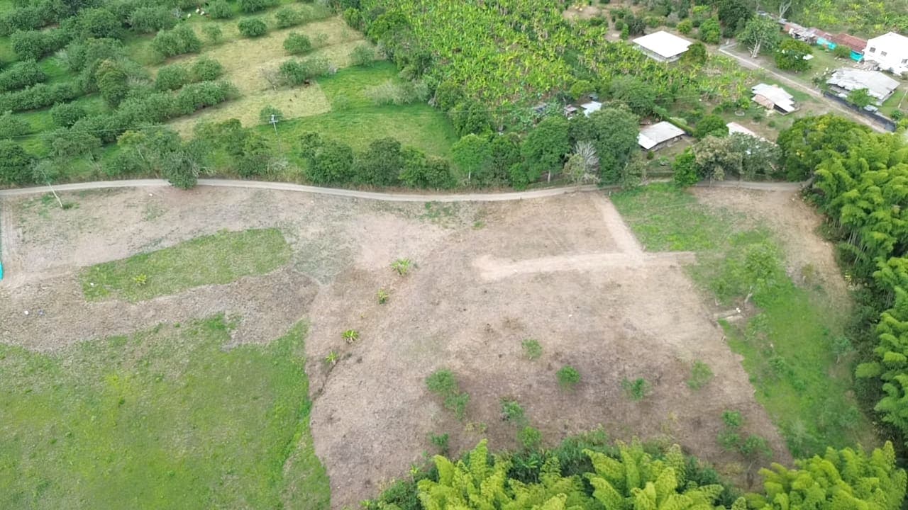 PASA TIEMPO - PROYECTO DE LOTES CAMPESTRES – QUIMBAYA, QUINDÍO