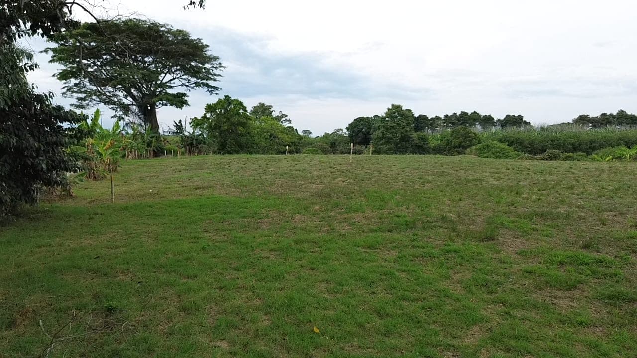 PASA TIEMPO - PROYECTO DE LOTES CAMPESTRES – QUIMBAYA, QUINDÍO