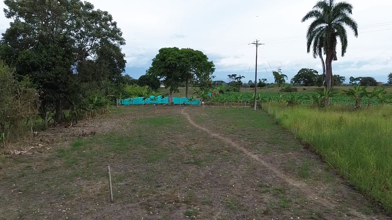 PASA TIEMPO - PROYECTO DE LOTES CAMPESTRES – QUIMBAYA, QUINDÍO