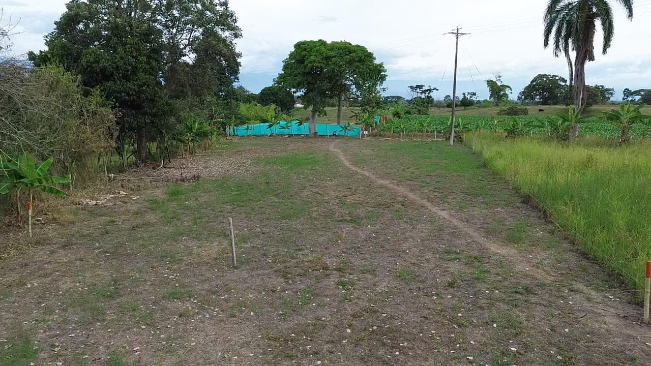 PASA TIEMPO - PROYECTO DE LOTES CAMPESTRES – QUIMBAYA, QUINDÍO