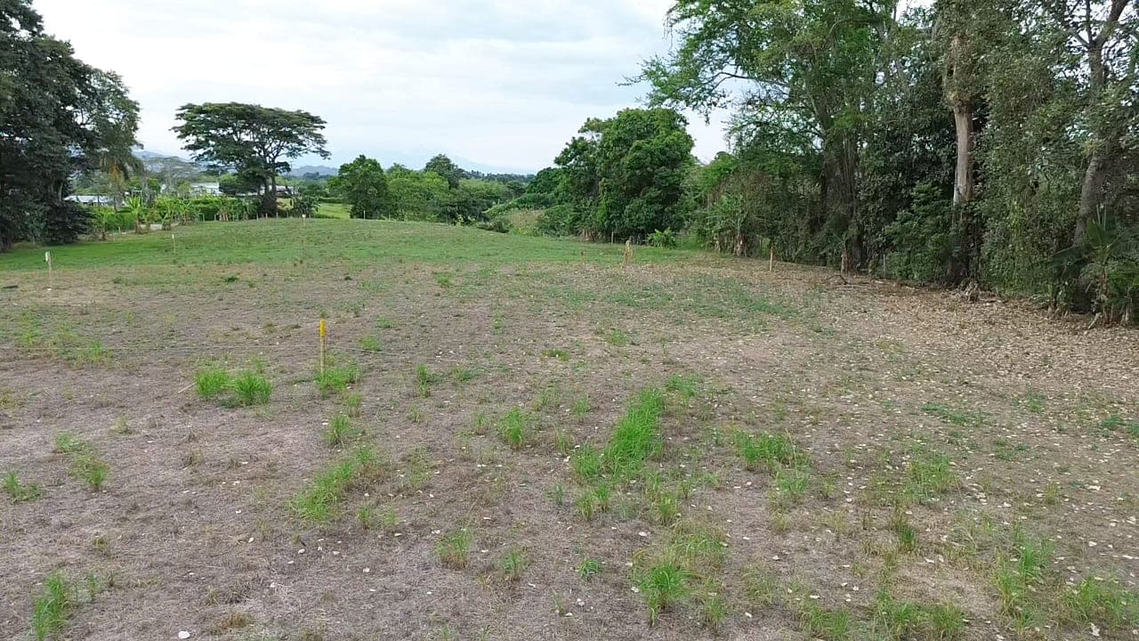 PASA TIEMPO - PROYECTO DE LOTES CAMPESTRES – QUIMBAYA, QUINDÍO