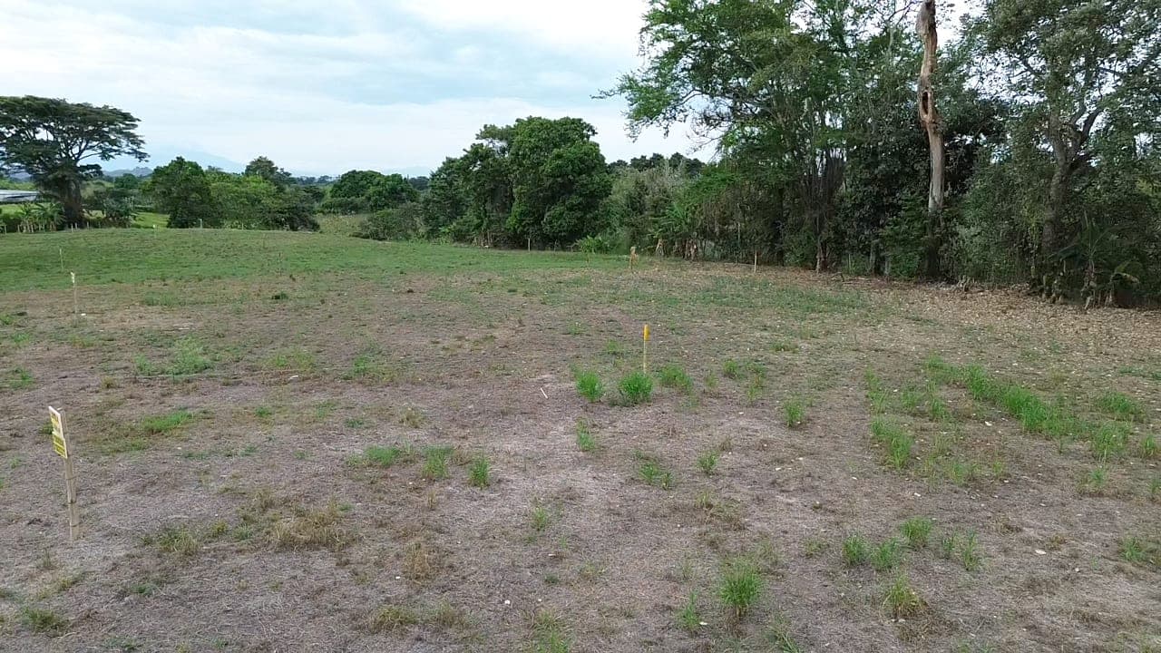PASA TIEMPO - PROYECTO DE LOTES CAMPESTRES – QUIMBAYA, QUINDÍO