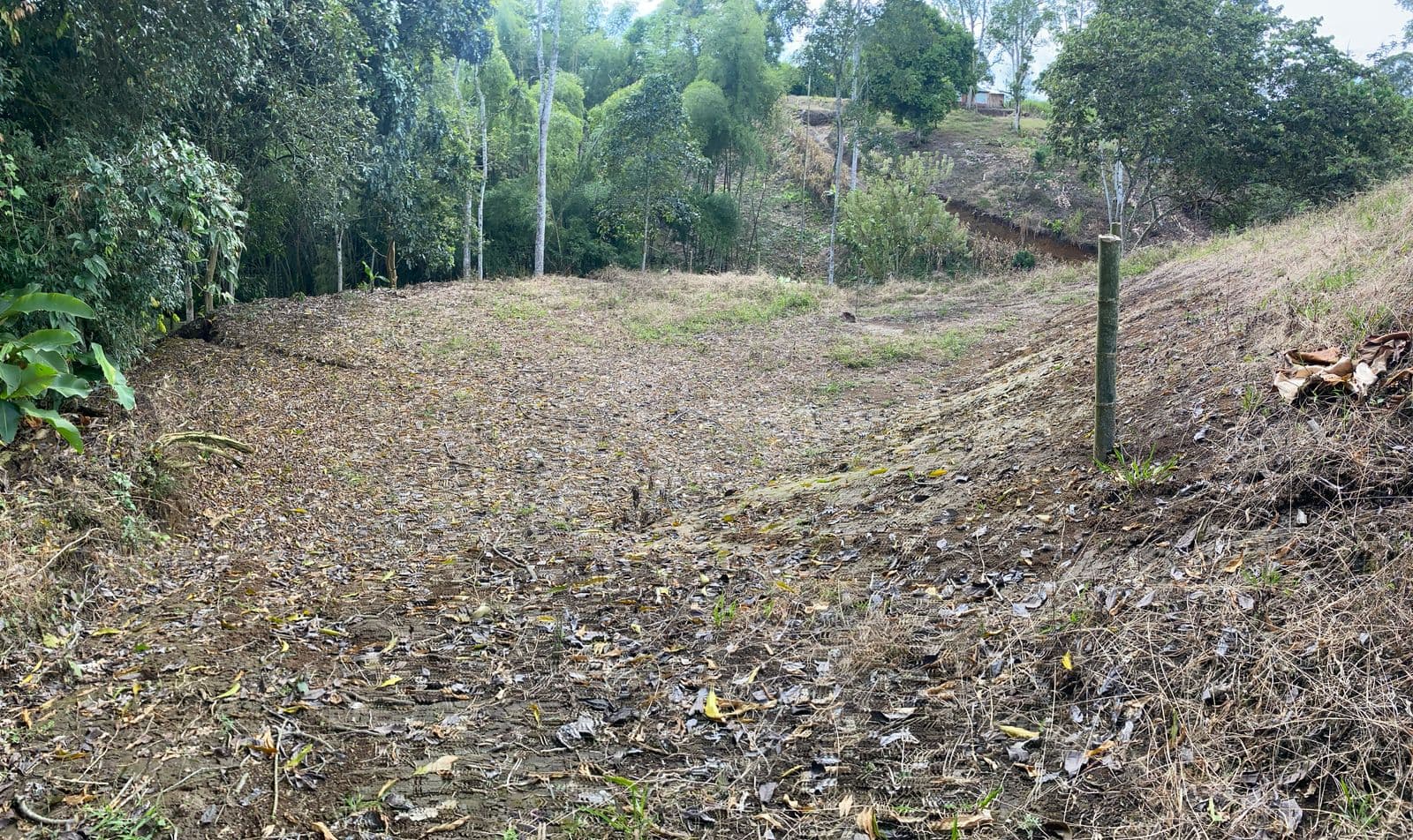 💎 DIAMANTE 1 – LOTES CAMPESTRES EN QUIMBAYA, QUINDÍO