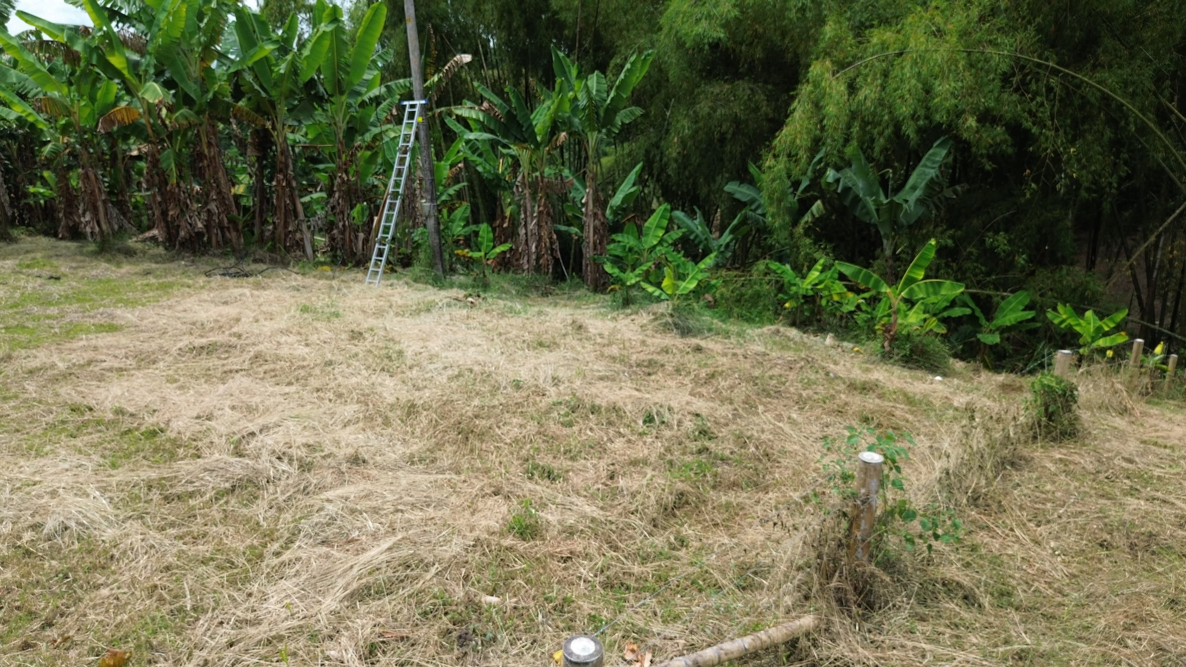 🌿 PROYECTO SAN MIGUEL – LOTES CAMPESTRES EN QUIMBAYA, QUINDÍO