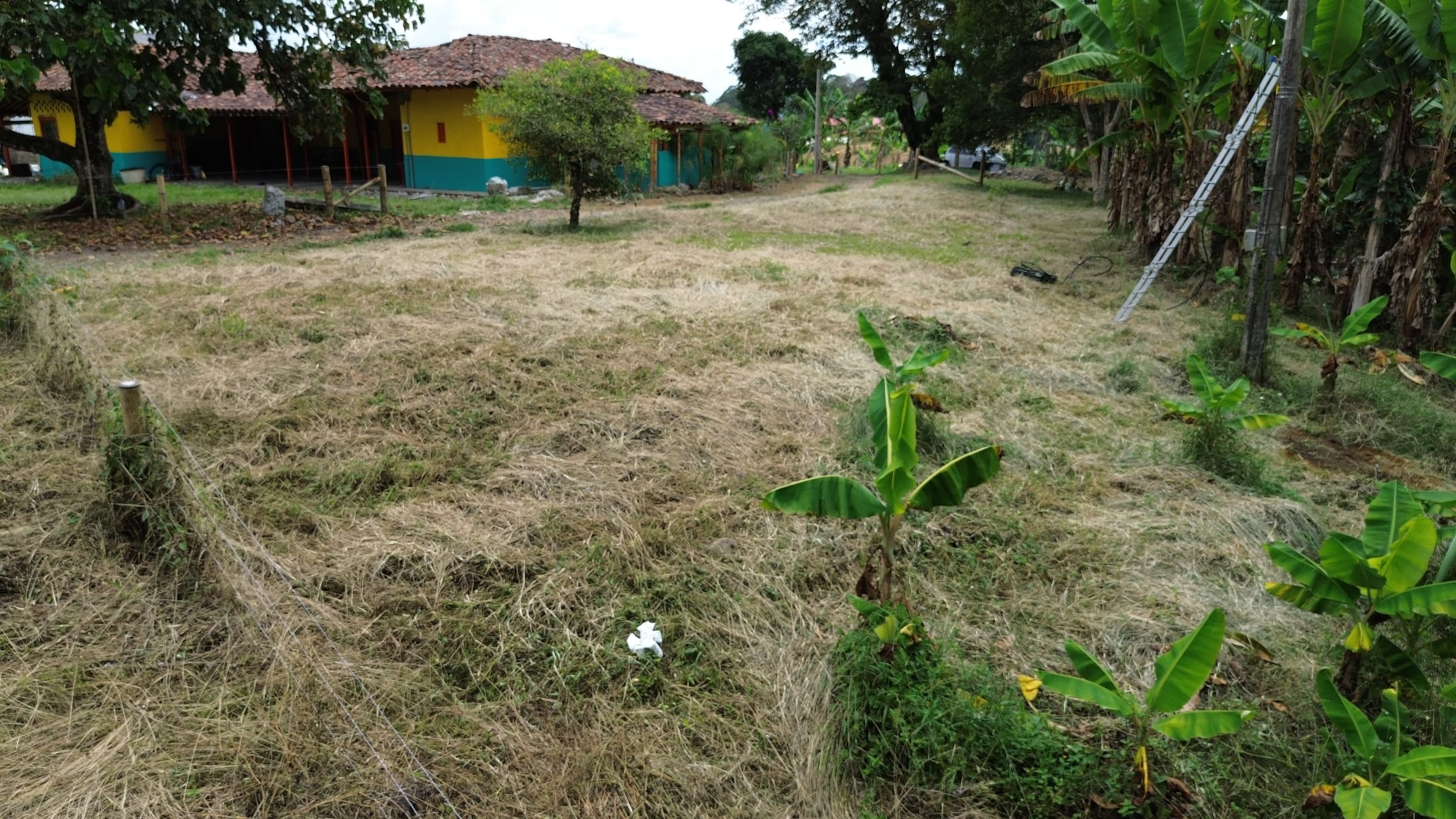 🌿 PROYECTO SAN MIGUEL – LOTES CAMPESTRES EN QUIMBAYA, QUINDÍO