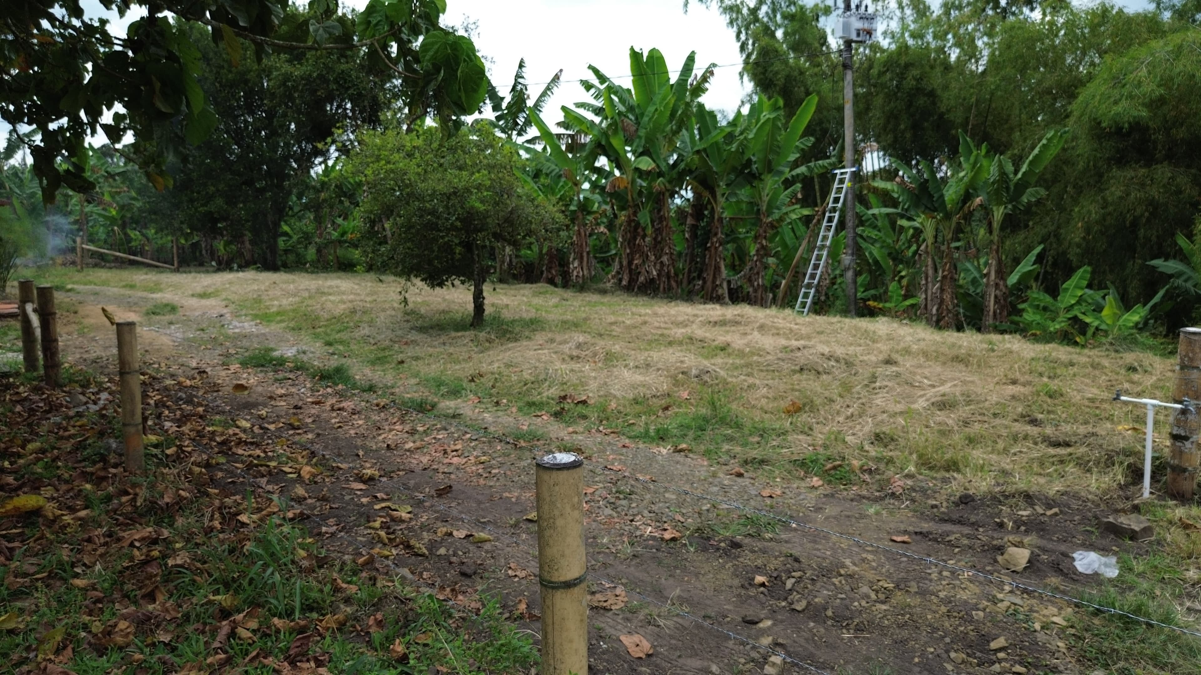 🌿 PROYECTO SAN MIGUEL – LOTES CAMPESTRES EN QUIMBAYA, QUINDÍO