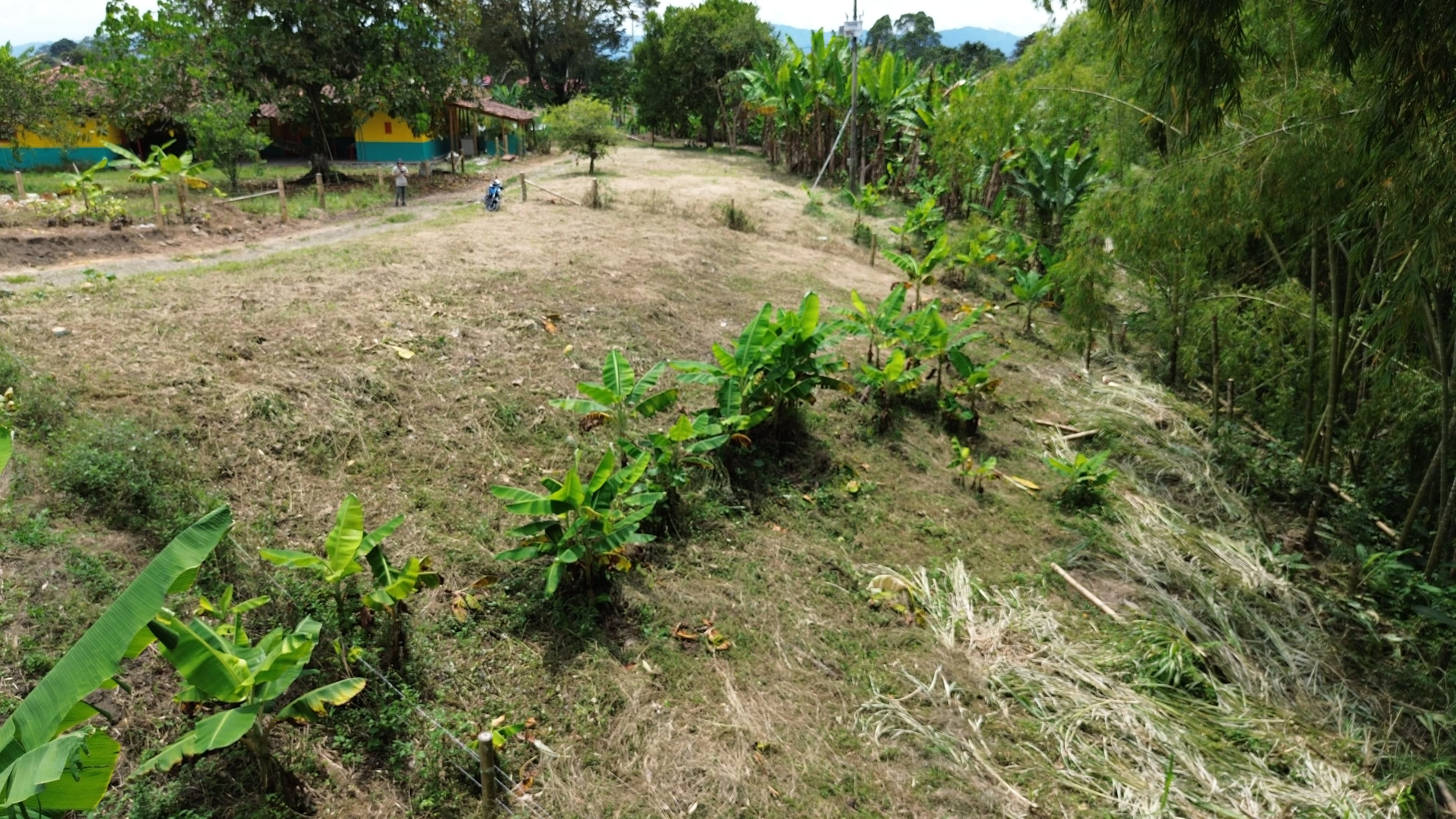 🌿 PROYECTO SAN MIGUEL – LOTES CAMPESTRES EN QUIMBAYA, QUINDÍO