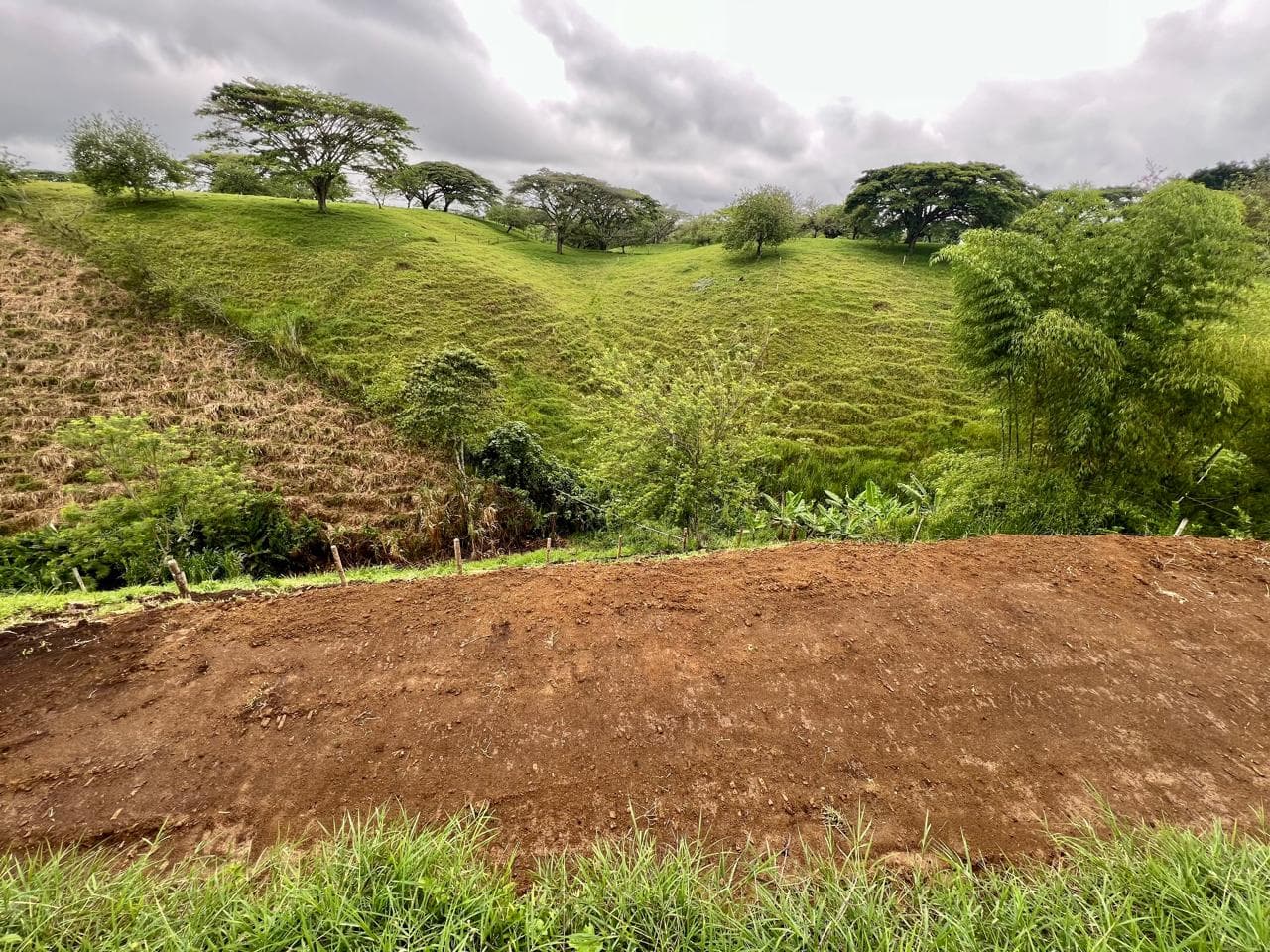 🌿 LOTE 57 – PROYECTO LA ABUELA | ALCALÁ, VALLE