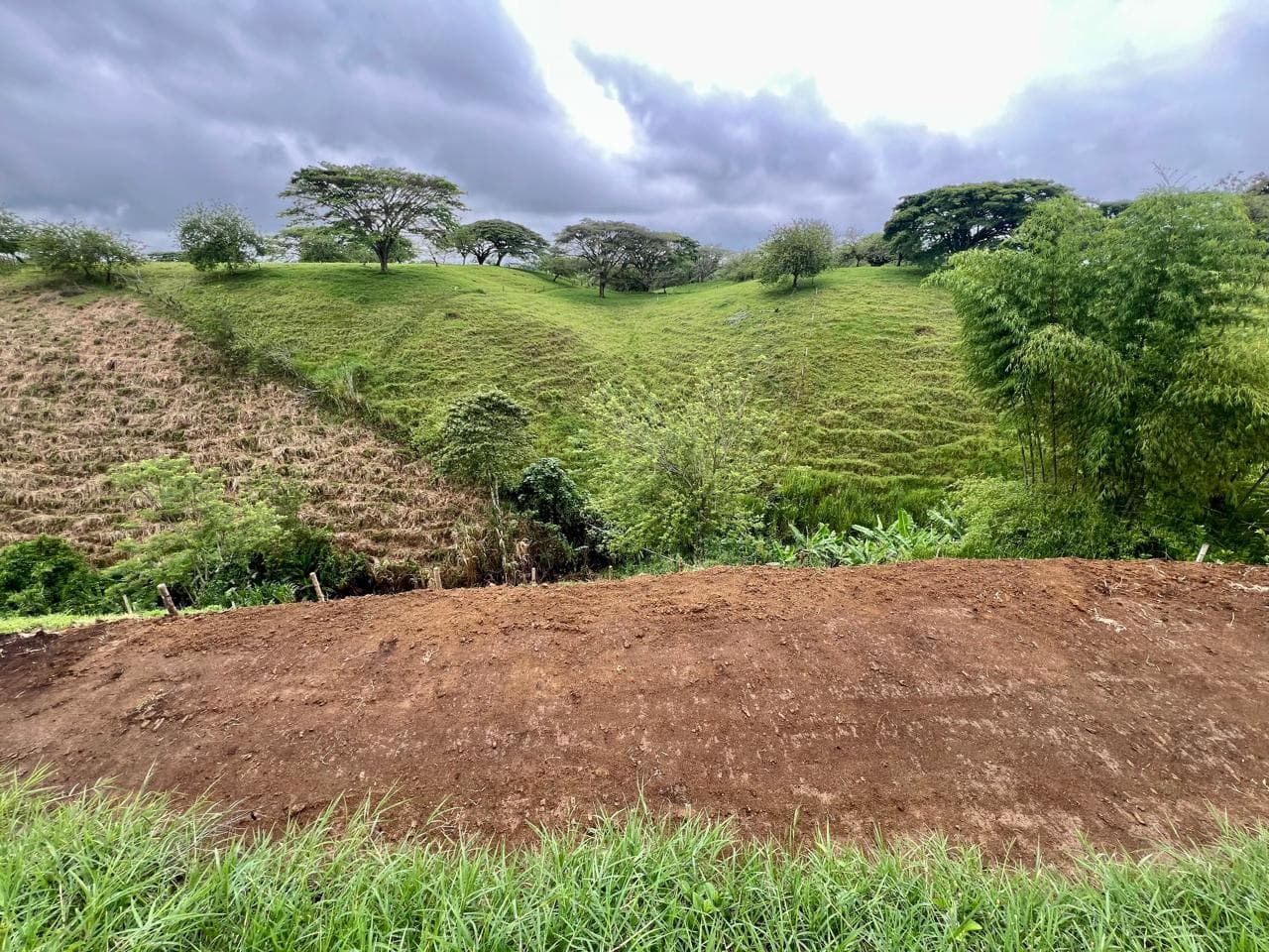 🌿 LOTE 57 – PROYECTO LA ABUELA | ALCALÁ, VALLE