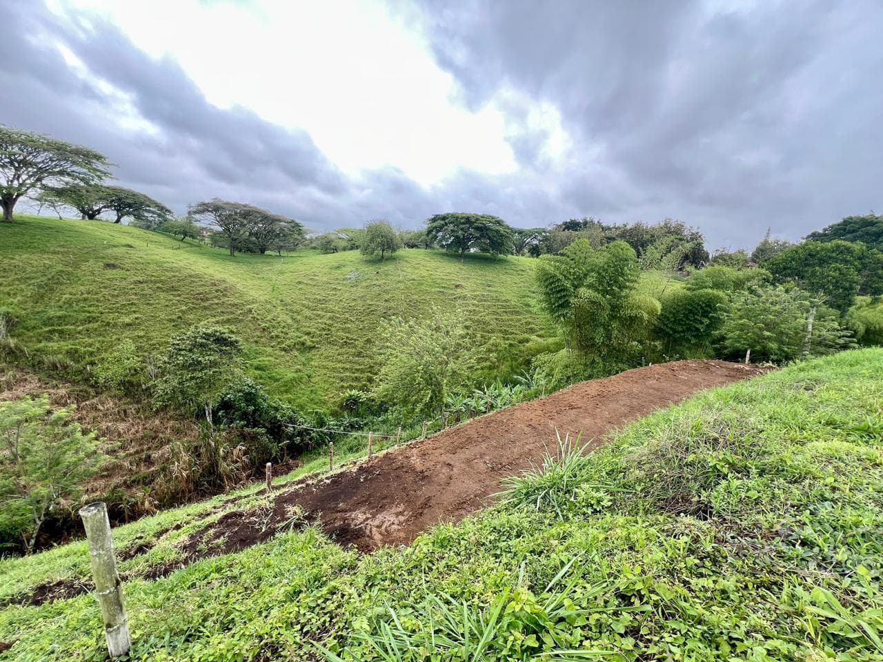 🌿 LOTE 57 – PROYECTO LA ABUELA | ALCALÁ, VALLE