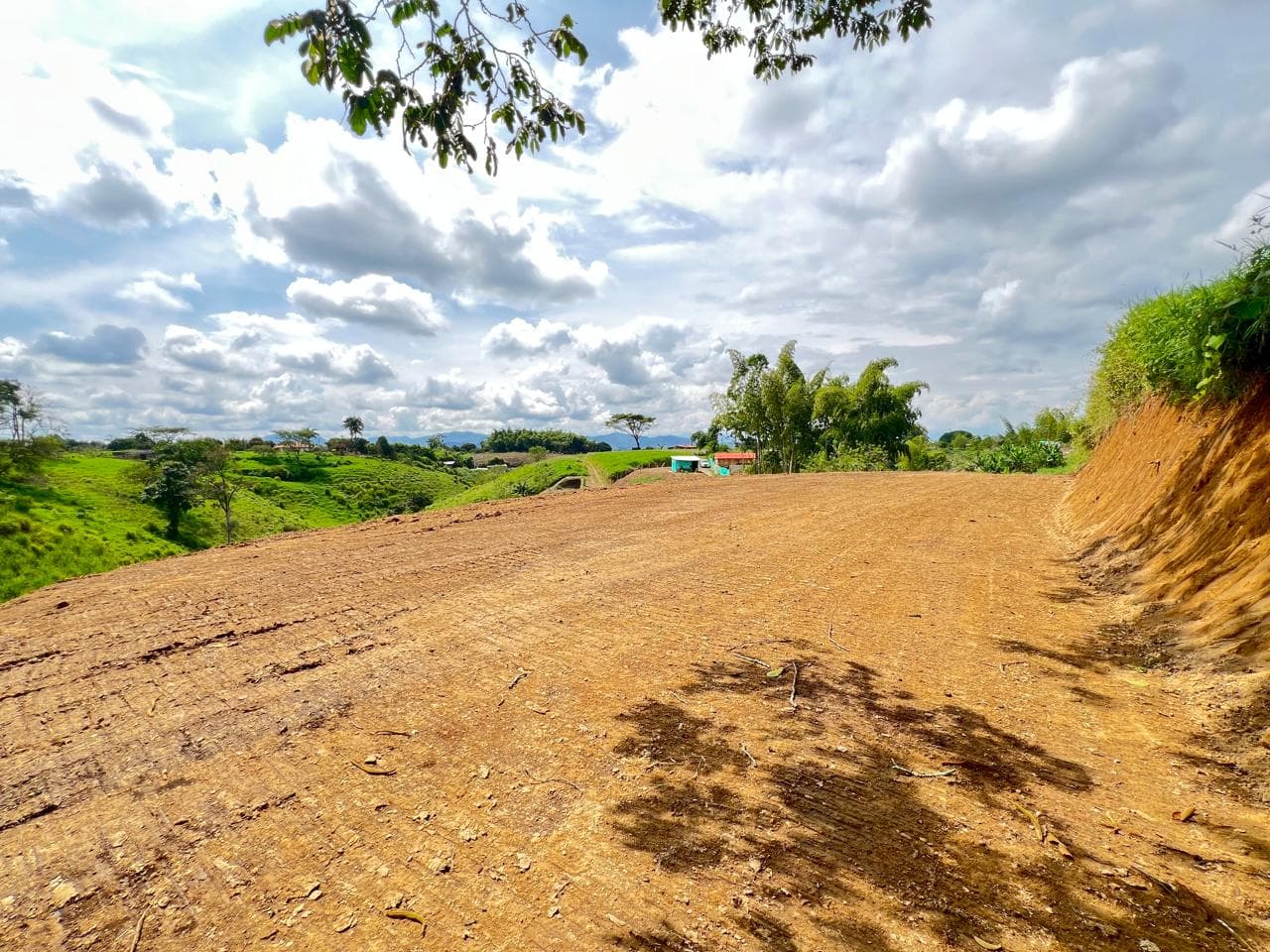 🌿 LOTE 81 – PROYECTO LA ABUELA | ALCALÁ, VALLE
